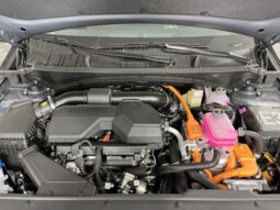 
 Kia Sportage Hybrid full									