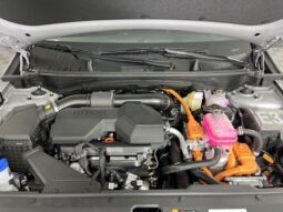 
 Kia Sportage Hybrid full									