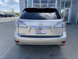 
 Lexus RX full									