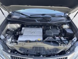 
 Lexus RX full									