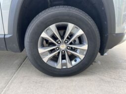
 Chevrolet Equinox full									