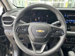 
 Chevrolet TrailBlazer full									