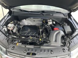 
 Chevrolet TrailBlazer full									