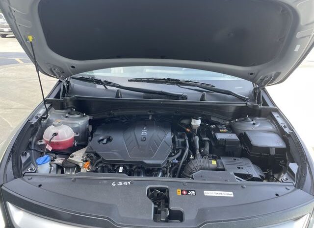 
 Kia Sportage full									