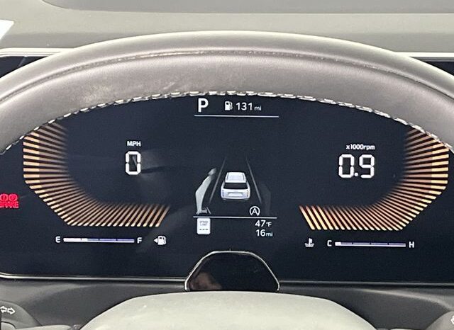 
 Kia Telluride full									