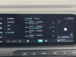 
 Kia Telluride full									