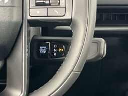 
 Kia Telluride full									