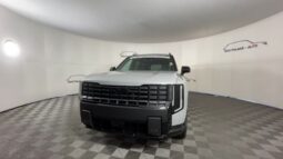 
 Kia Telluride full									