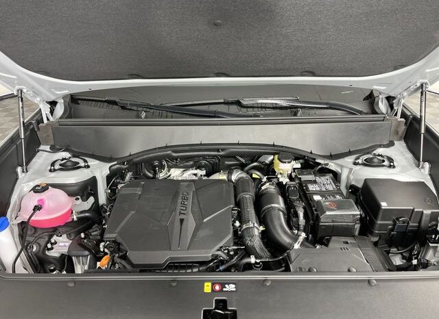 
 Kia Telluride full									