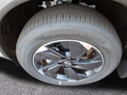 
 Nissan Rogue full									