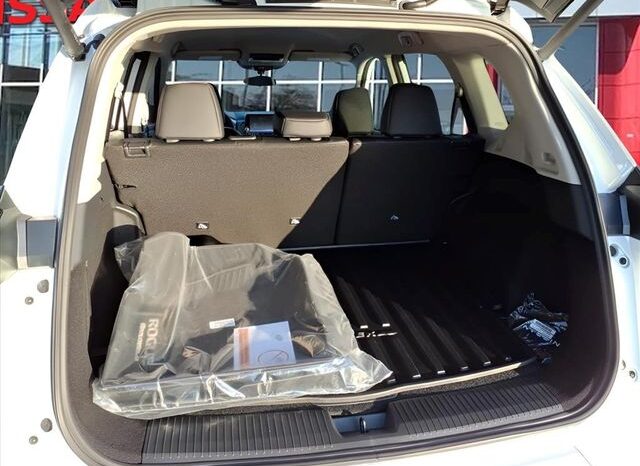 
 Nissan Rogue full									