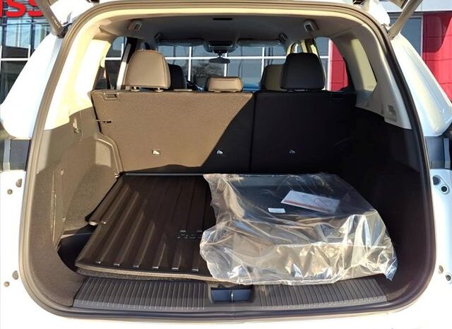 
 Nissan Rogue full									