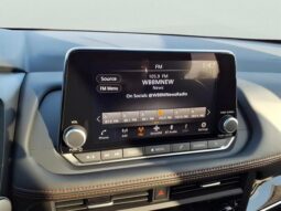 
 Nissan Rogue full									