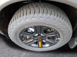 
 Nissan Rogue full									