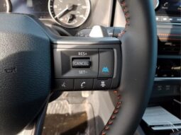 
 Nissan Rogue full									