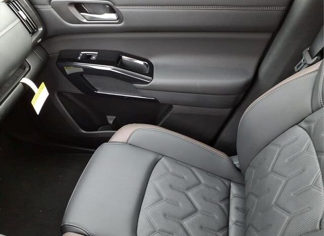 
 Nissan Pathfinder full									