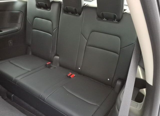 
 Nissan Pathfinder full									
