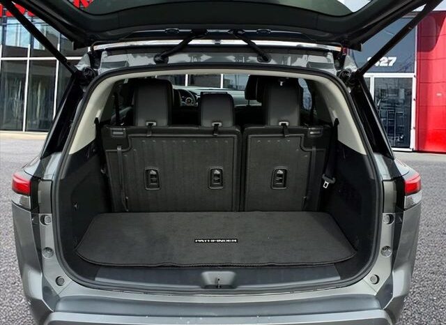 
 Nissan Pathfinder full									