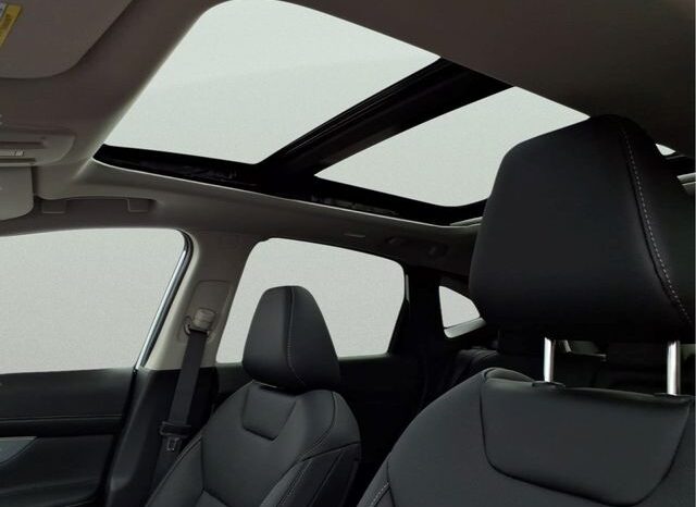 
								Nissan Murano full									