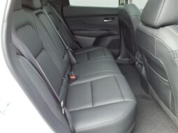 
										Nissan Murano full									