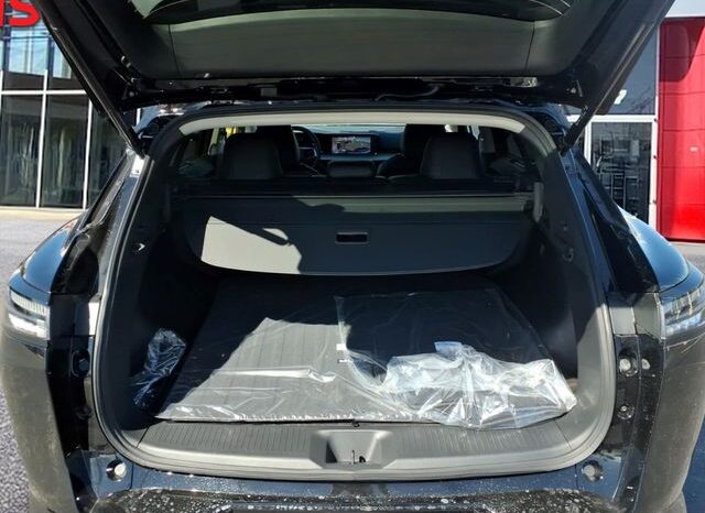 
 Nissan Murano full									