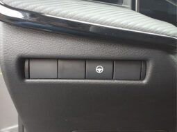 Nissan Kicks full