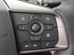
										Nissan Sentra full									