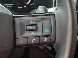 
 Nissan Pathfinder full									