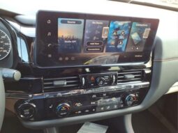 
 Nissan Pathfinder full									