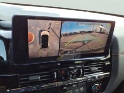 
 Nissan Pathfinder full									