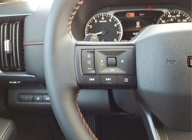 
 Nissan Pathfinder full									