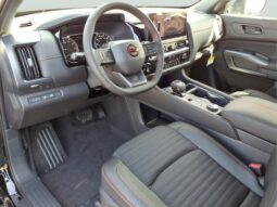
 Nissan Pathfinder full									