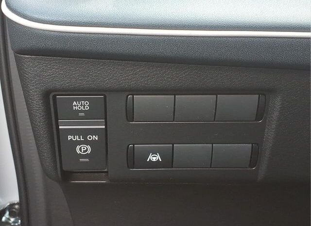 
 Nissan Leaf full									