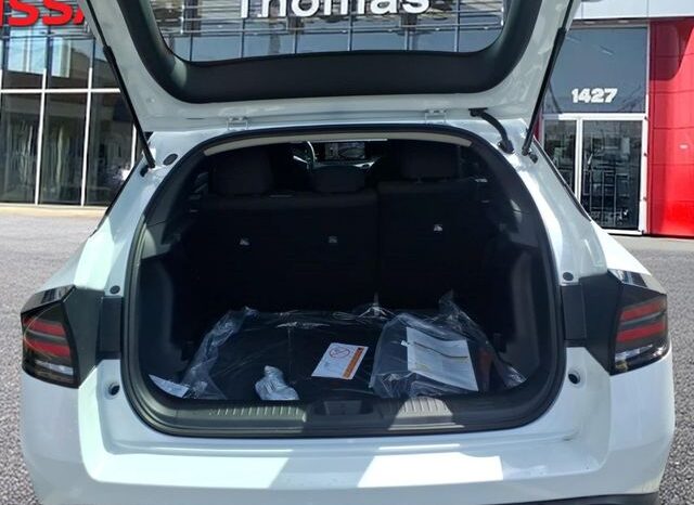 
 Nissan Leaf full									
