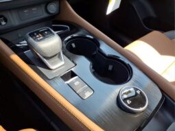 
 Nissan Rogue full									