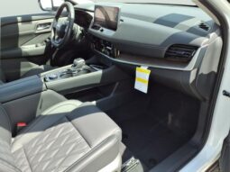 
 Nissan Rogue full									