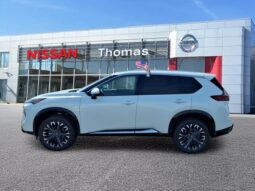 
 Nissan Rogue full									