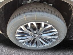 
 Nissan Rogue full									