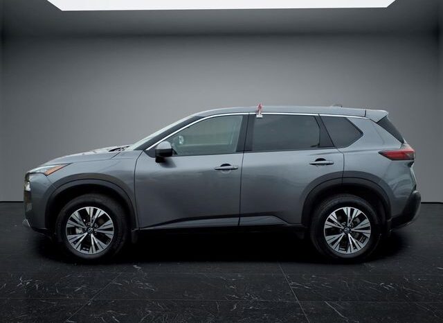 
 Nissan Rogue full									