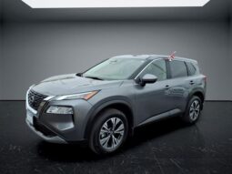 
 Nissan Rogue full									