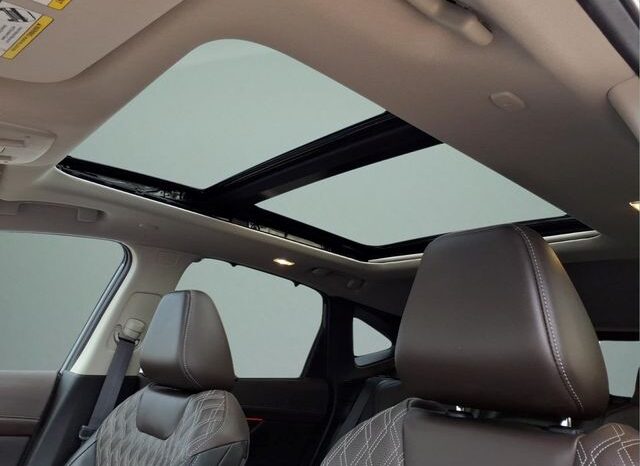 
 Nissan Murano full									