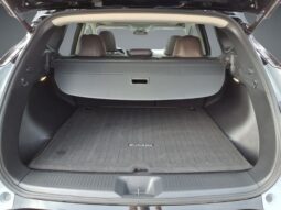 Nissan Murano full