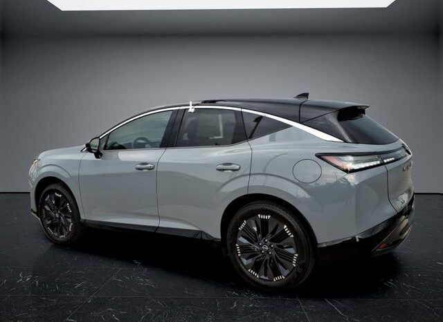 
 Nissan Murano full									