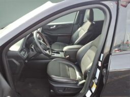 
										Ford Escape full									