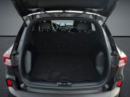 
										Ford Escape full									