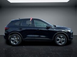 
										Ford Escape full									