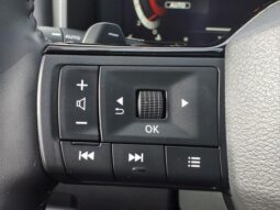 
 Nissan Rogue full									