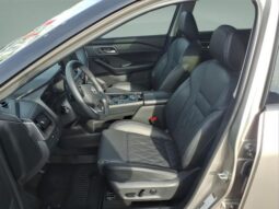 
 Nissan Rogue full									