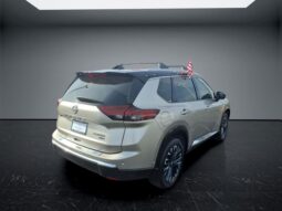 
 Nissan Rogue full									