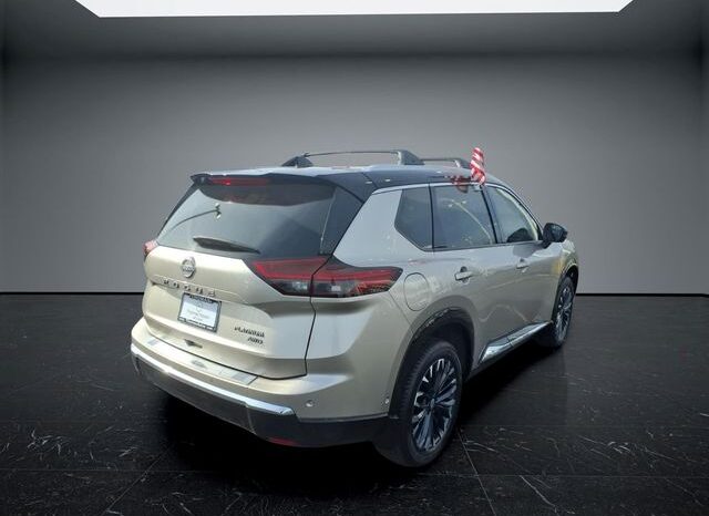 
 Nissan Rogue full									